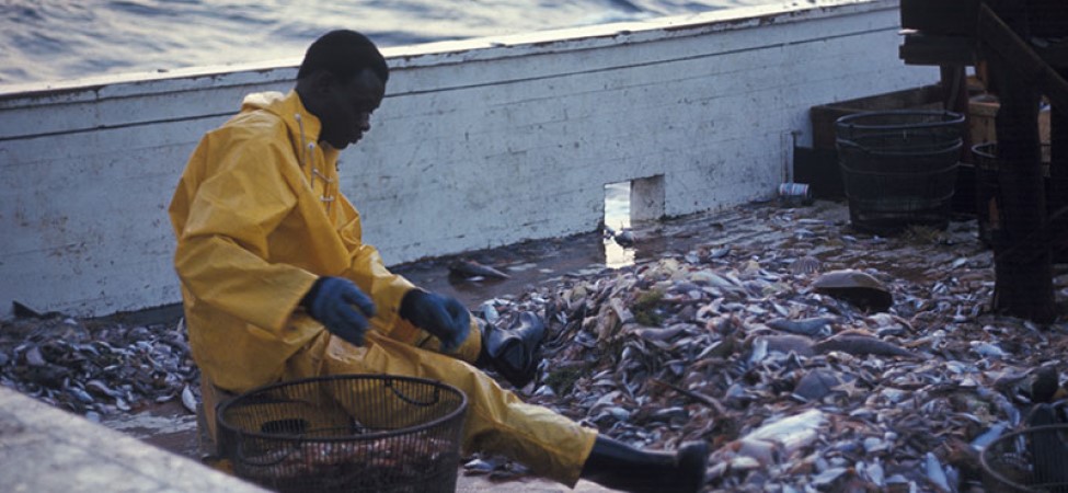 Man in a fishing boat with fish wearing a yellow jacket