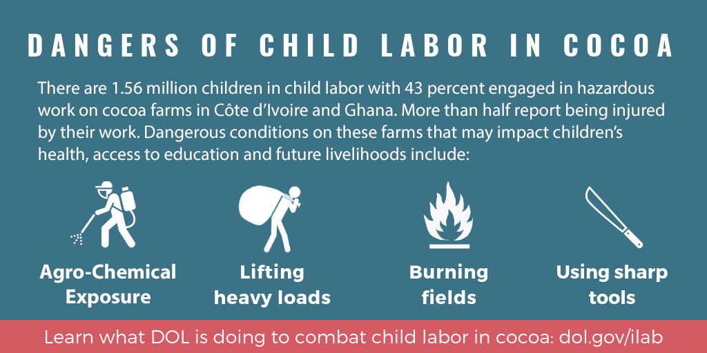 Dangers of child labor in cocoa infographic
