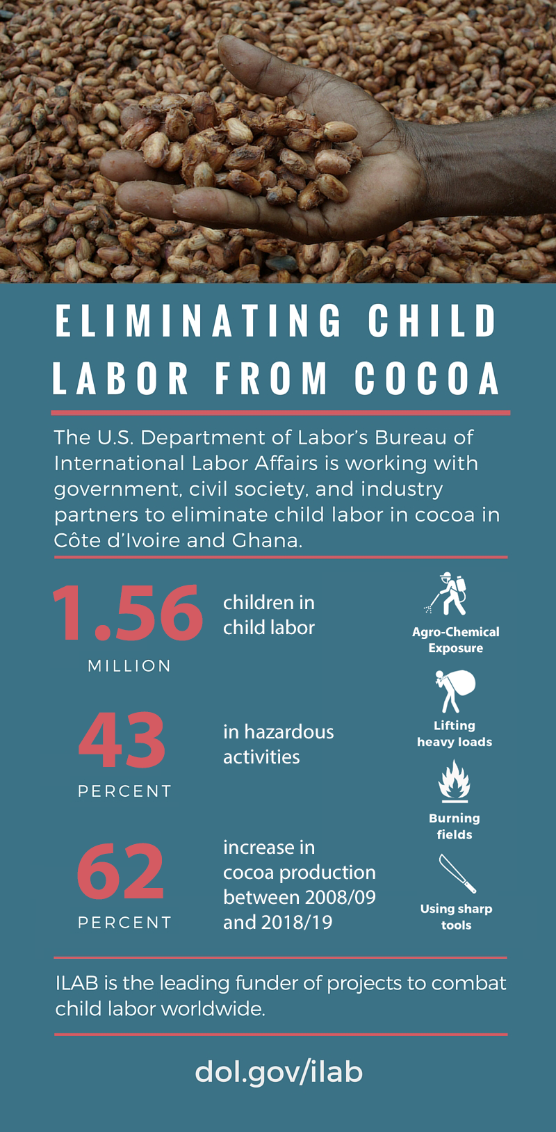 Eliminating Child Labor from Cocoa Infographic